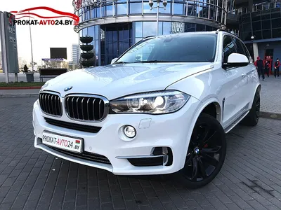 Технопарк: BMW X5 M-Sport 12 см синий: купить игрушечную модель машины по  доступной цене в Алматы, Казахстане | Интернет-магазин Marwin