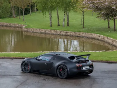 Купить радиоуправляемая машина MZ Bugatti Veyron (электропривод дверей)  1/14 Meizhi 2232J, цены в Москве на Мегамаркет