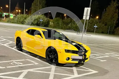 Коллекционная модель машины Chevrolet Camaro  Синий (ID#1575396059),  цена: 973 ₴, купить на 