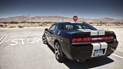 Модель машины Dodge Challenger SRT Demon Полиция  13см 554040P  Инерционный механизм купить в Тольятти - интернет магазин Rich Family