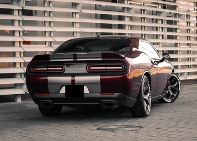 Скачать обои снег, зима, автомобили, додж, dodge challenger разрешение  1280x800 #157288