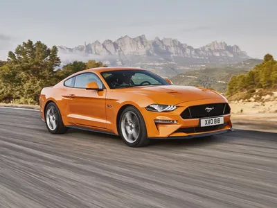 Номера тоже «козырные»! Успешная блогерка из Гродно долго копила на Ford  Mustang, а теперь рассказывает о машине