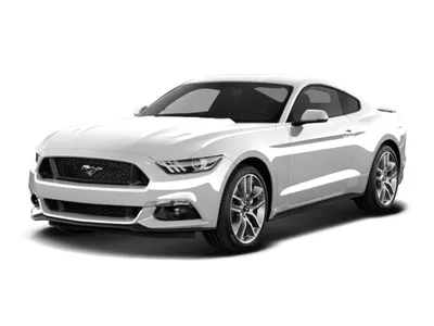 Три года копила!» Блогер из Гродно купила Ford Mustang, а теперь мечтает о  машине в пять раз дороже — Блог Гродно s13