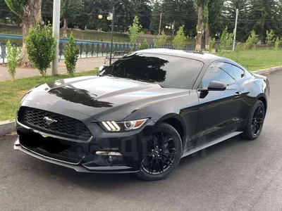 Модель машины Ford Mustang GT 2018  79352 Motormax купить в  Новосибирске - интернет магазин Rich Family