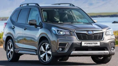 Почему я купил Subaru Forester и не жалею об этом Автомобильный портал 5  Колесо