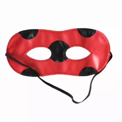 Felt Character Mask - Ladybug Girl, Cat Noir – Ellayna Boutique