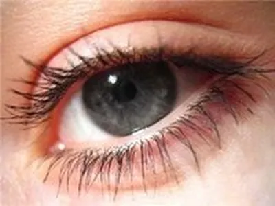 Сам себе косметолог: массаж глаз по методу Dr. med. Christine Schrammek |  Posta-Magazine