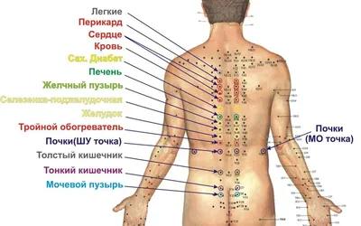 Методики проведения массажа спины | советы красоты | Дзен