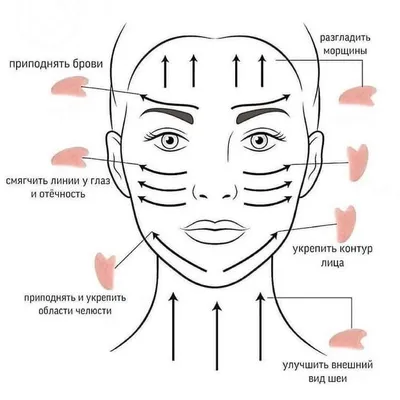 Китайский массаж гуаша: скребок и нефритовый ролик для идеальной кожи |  Дичковская Наталья Станиславовна - купить с доставкой по выгодным ценам в  интернет-магазине OZON (419898732)