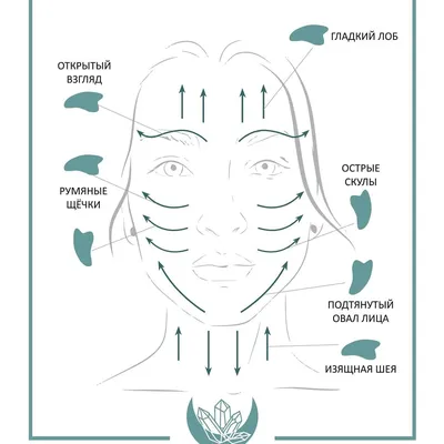 Китайский массаж гуаша: Техника выполнения и схемы метода. в "Точка красоты"