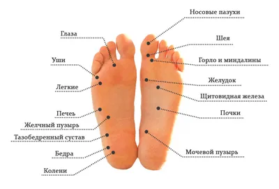 Массаж ног | виды массажа, особенности процедуры, как проводят, показания и  противопоказания
