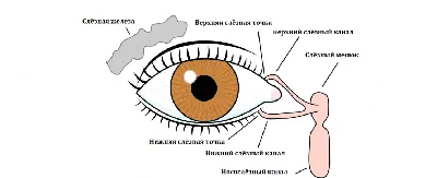 Лечение детей, лечение насморка и кашля у ребенка