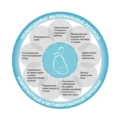 План родов в роддоме": основные условия использования – РАДЗІНЫ