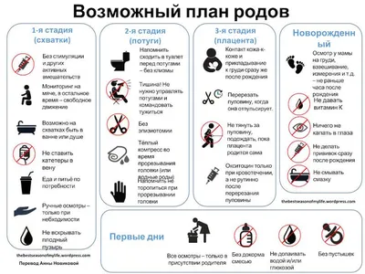 Палочка массажная 12 см. Массажер деревянный "Можжевельник" купить по  низкой цене с доставкой в интернет-магазине OZON (243624150)