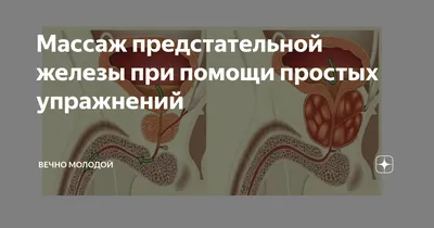 Лечение простатита у мужчин в Перми | Врач, лечащий аденому простаты |  Лечение урологических заболеваний у мужчин: мочекаменная болезнь, мужское  бесплодие, эректильная дисфункция (импотенция) | Массаж предстательной  железы в Перми | Медицинская