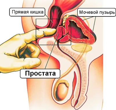 Как сделать массаж самому себе или коротко об остеохондрозе | Пикабу