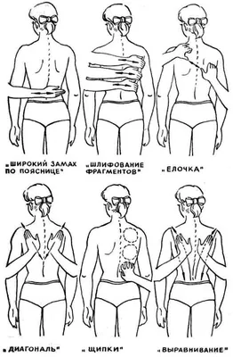 Массаж спины. Правила. Методика. - Курсы массажа в Уфе | Курсы массажа в  школе Грант