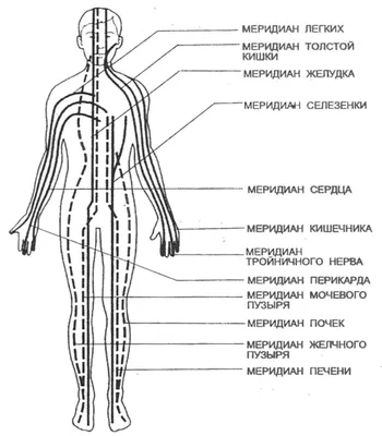 Система оздоровления от китайского доктора Фучжуна. Простой массаж живота и  другие техники | 7 минут на красоту | Дзен