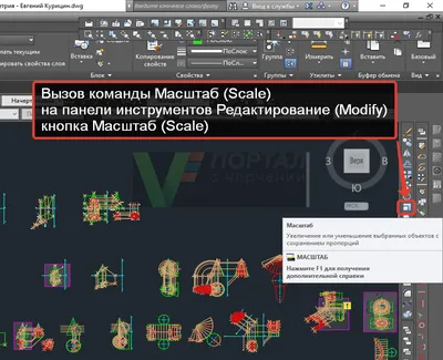 AutoCAD 2022 Справка | А вы пробовали выполнять предварительное  масштабирование видовых экранов листа? | Autodesk