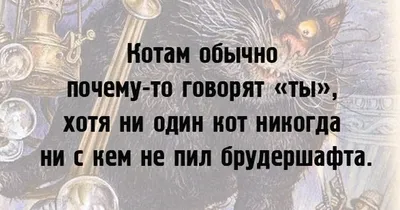 16 знаменитых фраз булгаковского кота Бегемота, которые создают особую  атмосферу романа