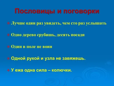 Наш первый проект по математике «Числа в загадках, пословицах и поговорках»  (фотоотчёт) (2 фото). Воспитателям детских садов, школьным учителям и  педагогам - Маам.ру