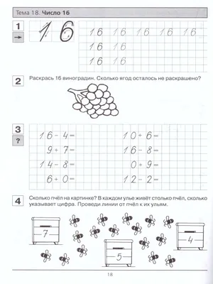 Математика для дошкольников. Рабочие тетради для детей 5-6 лет. 4 книги в  комплекте | Султанова Марина - купить с доставкой по выгодным ценам в  интернет-магазине OZON (200048134)