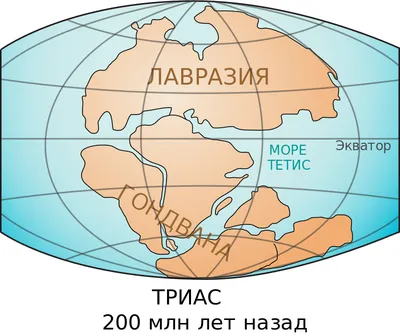 Материки Земли | География. Реферат, доклад, сообщение, кратко,  презентация, лекция, шпаргалка, конспект, ГДЗ, тест