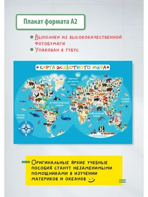 География материков и океанов в 7 классе. Аверсэв