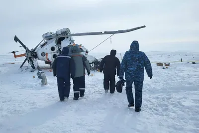 В МЧС рассказали, как оказывать первую помощь при укусе змеи - ТИА