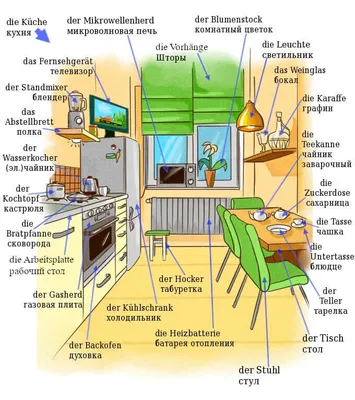 мебель на немецком языке: 11 тыс изображений найдено в Яндекс.Картинках |  Немецкий язык, Грамматика немецкого языка, Немецкий