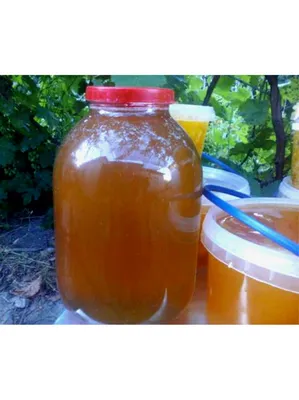 В Кыргызстане можно получать высококачественный мед на $150 млн —  Минэкономики - , Sputnik Кыргызстан