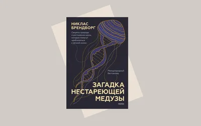 Загадка нестареющей медузы»: когда ждать чудо-таблетку для бессмертия | РБК  Тренды