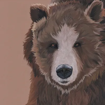 Акварель медведь арт подтёки краски Watercolor bear art paint stains | Bear  watercolor, Bear paintings, Bear art