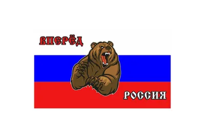 Прямоугольный флаг SKYWAY на липучке, "Вперед Россия", медведь S09202003 -  выгодная цена, отзывы, характеристики, фото - купить в Москве и РФ