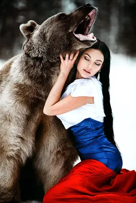 Купить наклейку "Медведь Россия"