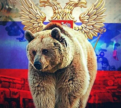 Флаг России с медведем и надписью "Поддержим наших"
