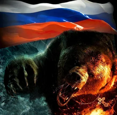 Арт медведь Россия - 68 фото