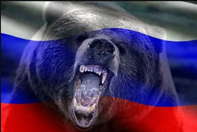 Купить флаг РФ с медведем "Россия, Вперед!" 90х135 см шелк | INARI