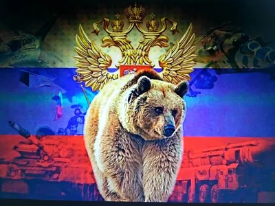 Медведь на фоне российского флага - фото и картинки 