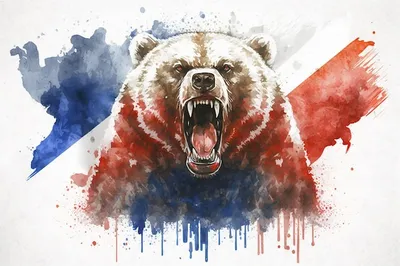 Русский тактический медведь | Пикабу
