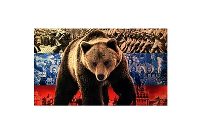 Медведь с гармошкой: открытки с днем России 12 июня | Открытки,  Художественные мероприятия, Веселые обезьяны