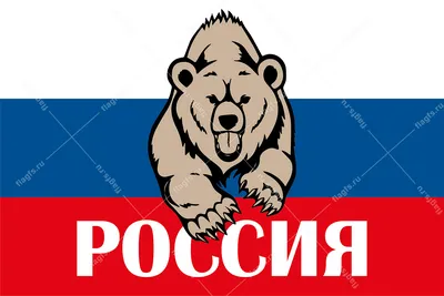 Медведь с флагом россии картинки