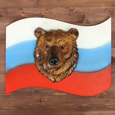 Шеврон на липучке "Флаг России бурый медведь" купить по цене 299 ₽ в  интернет-магазине KazanExpress