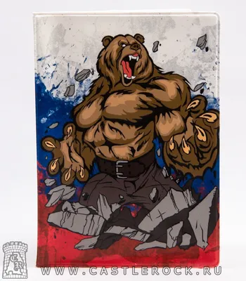 Флаг России с черной Z и медведем