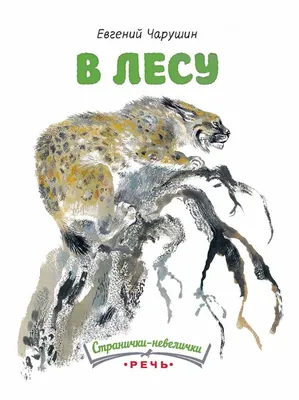 Какими действиями можно спровоцировать медведя на нападение | Заметки о  животных | Дзен