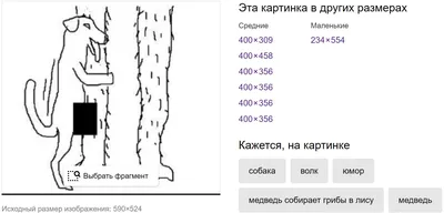 Медведь собирает грибы в лису | Пикабу