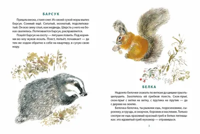 Иллюстрация 20 из 49 для В лесу - Евгений Чарушин | Лабиринт - книги.  Источник: Пиккель Василина