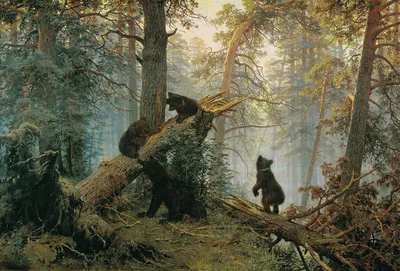 Медведи в лесу картинки