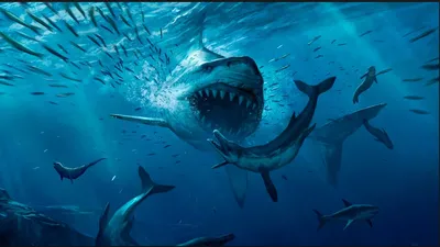 Фигурка мегалодона PNSO Megalodon акула: продажа, цена в Запорожье.  Коллекционные фигурки персонажей от "MyTorg" - 1560442122