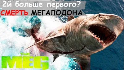 Фигурка Мегалодона Megalodon Shark — Купить Недорого на  (1173064607)